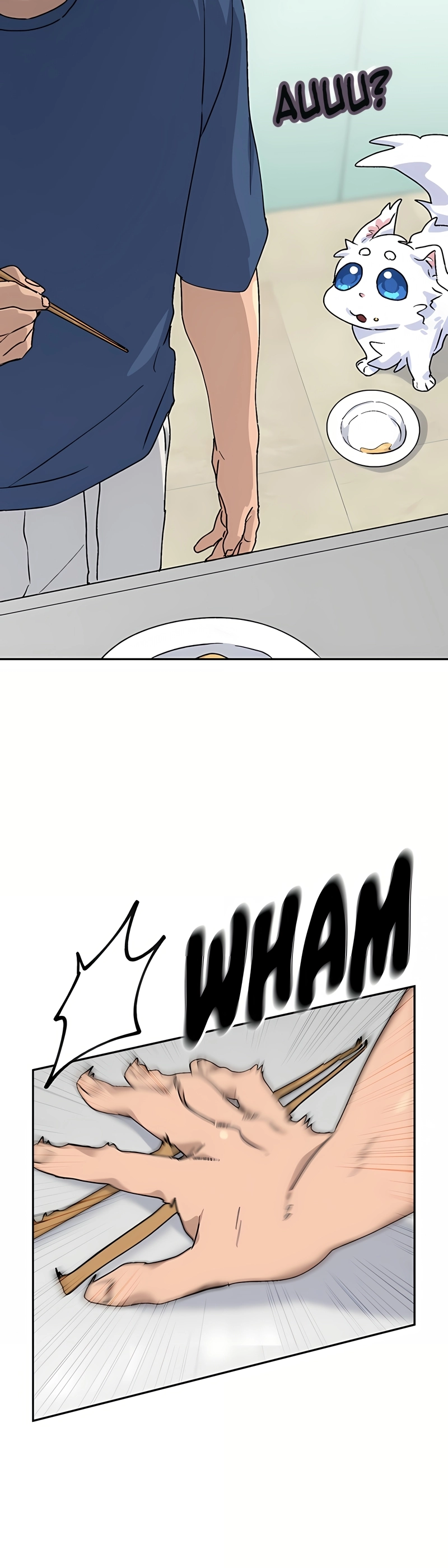 Página 40