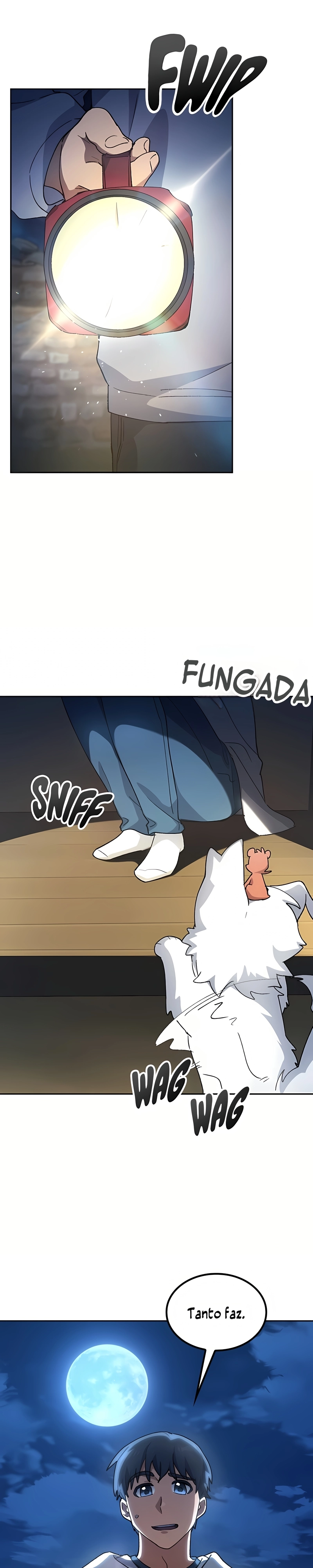 Página 31