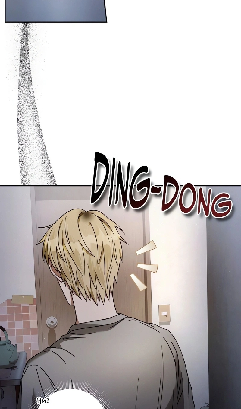 Página 42