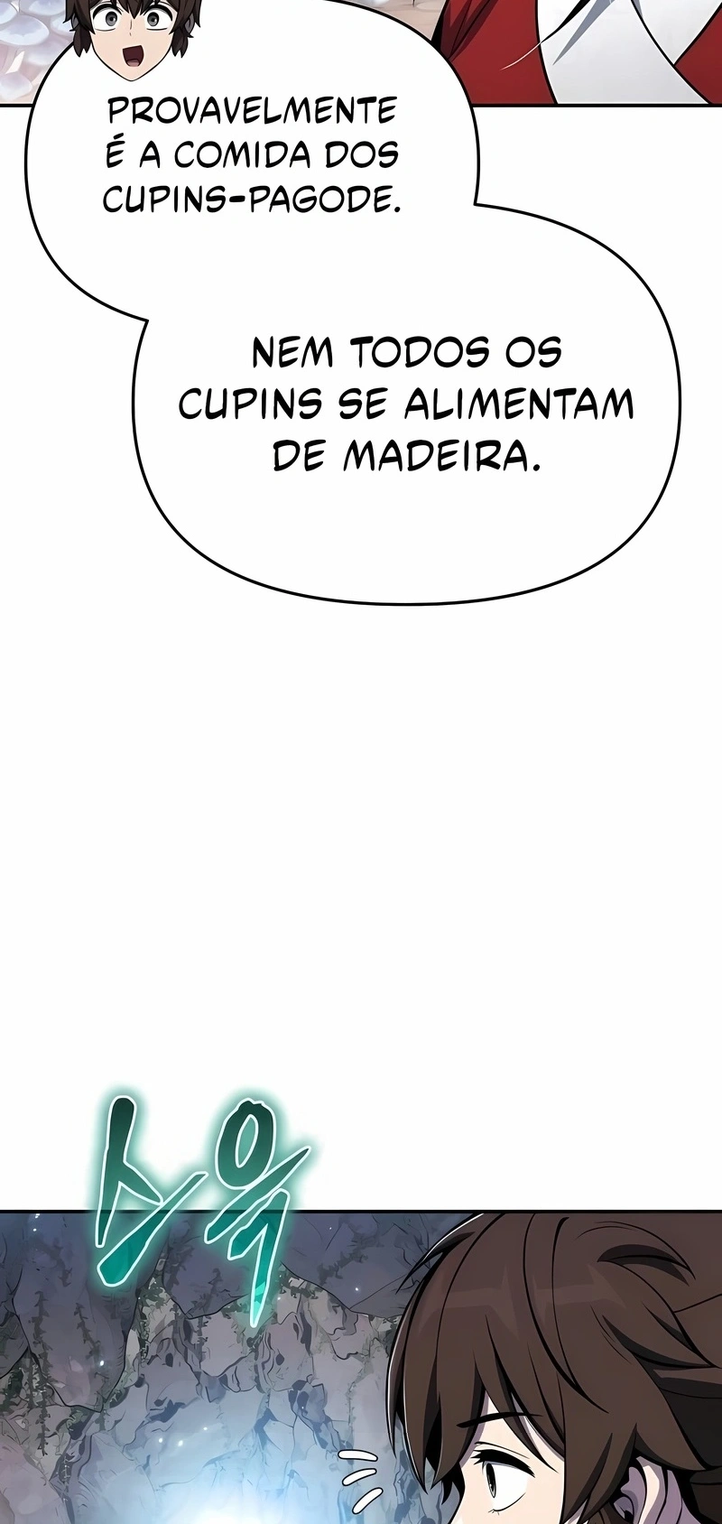 Página 107