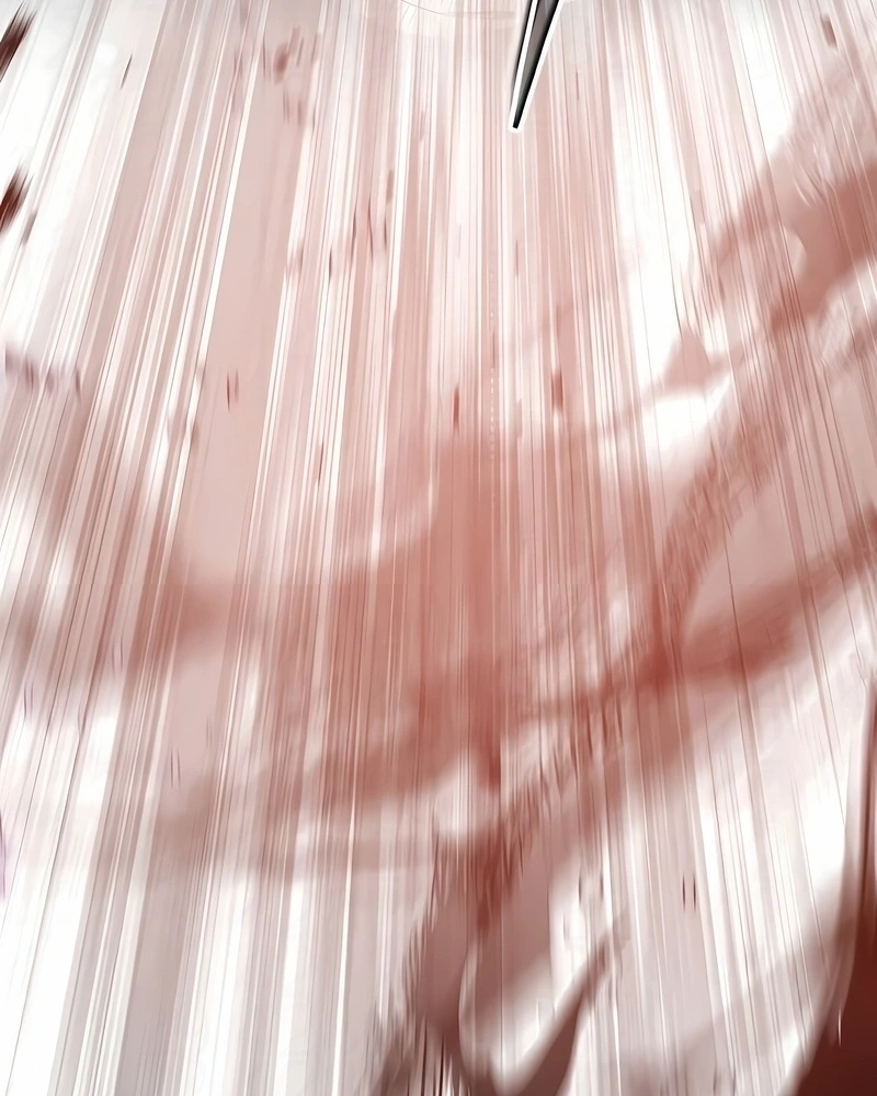 Página 102