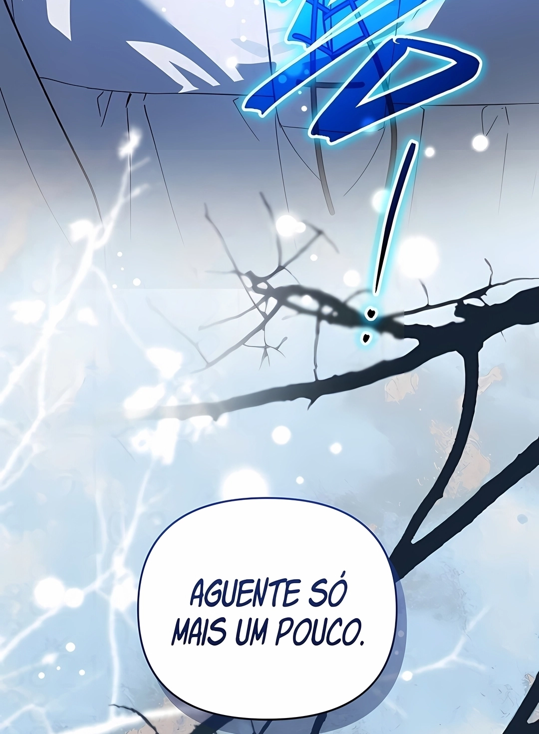 Página 117