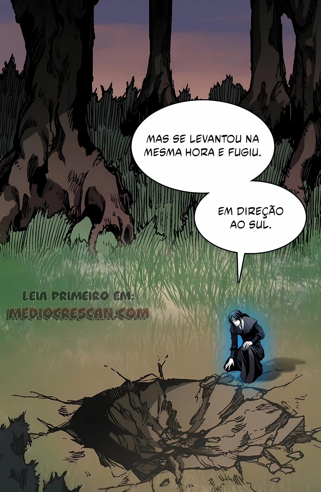 Página 111