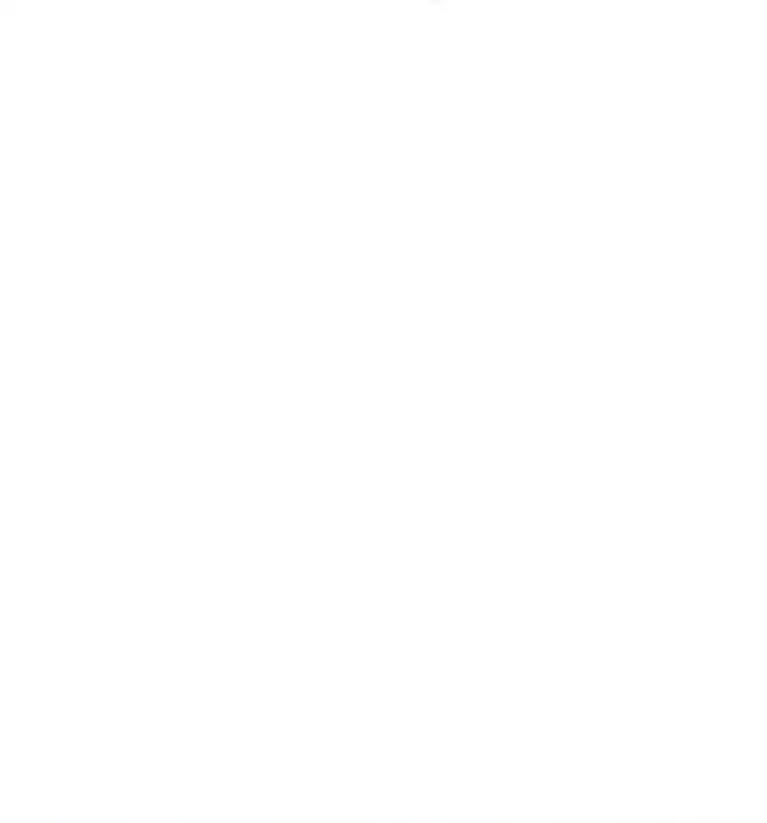 Página 197
