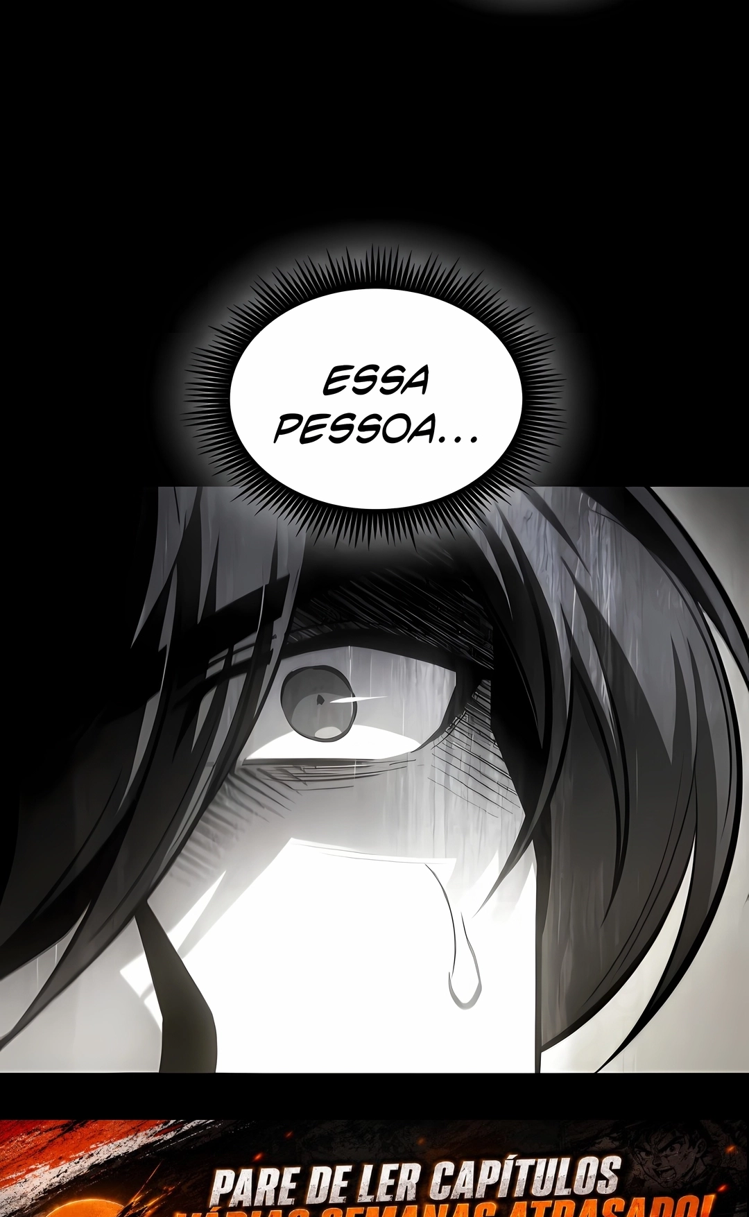 Página 113