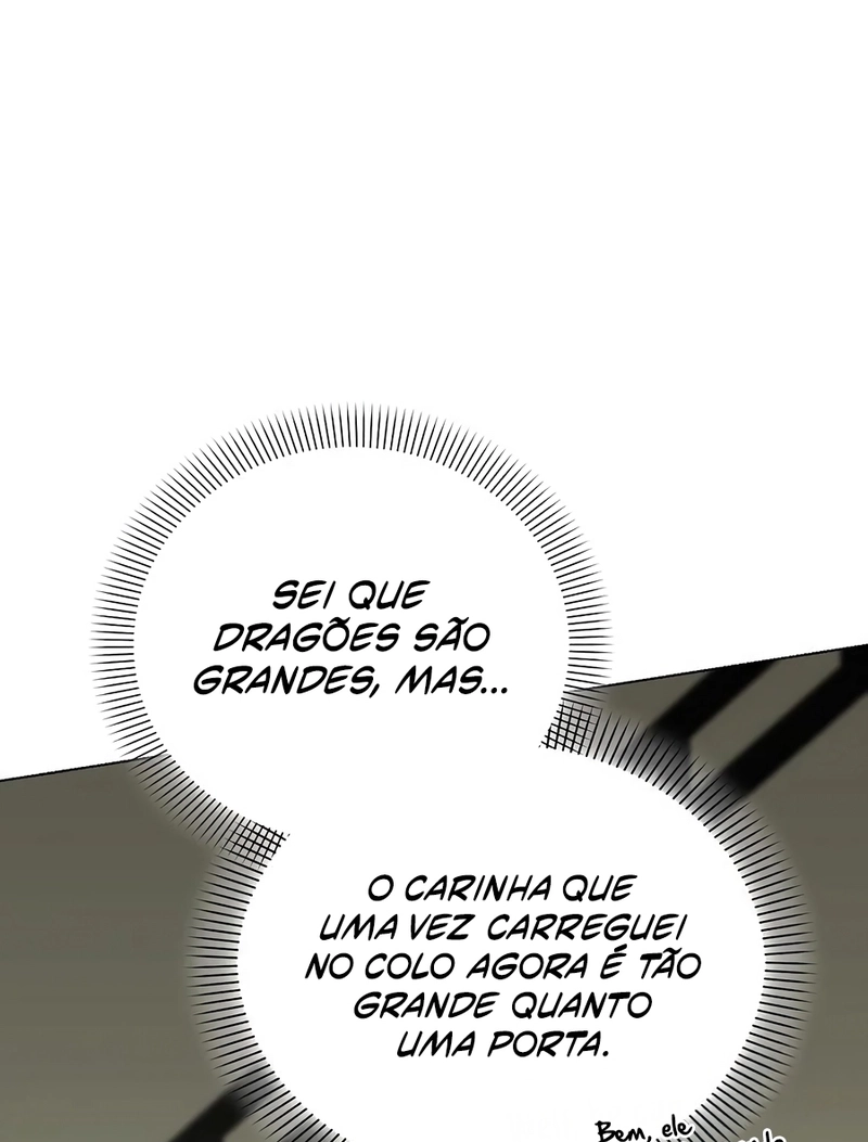 Página 113