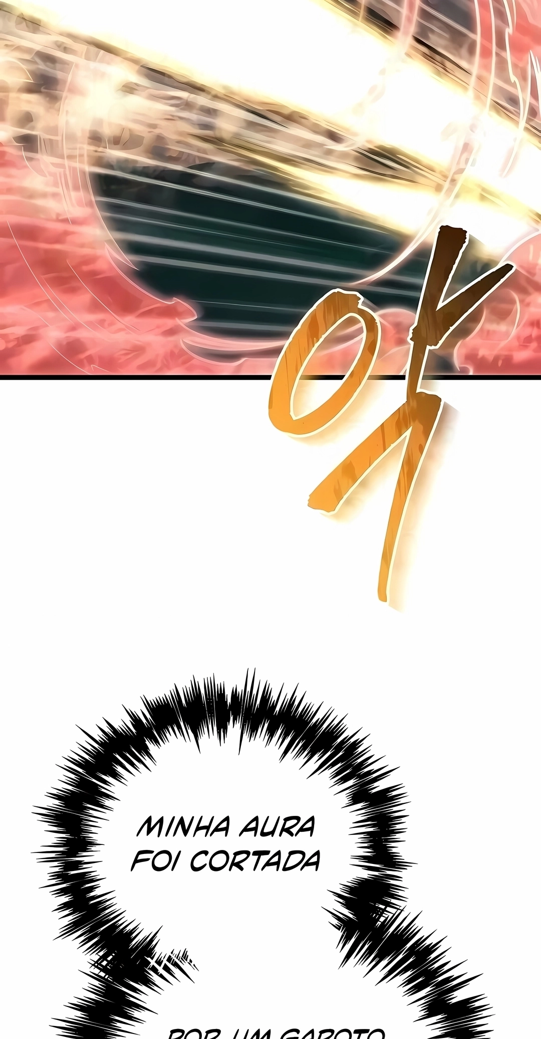 Página 113
