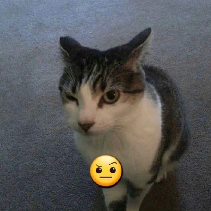 Página 28