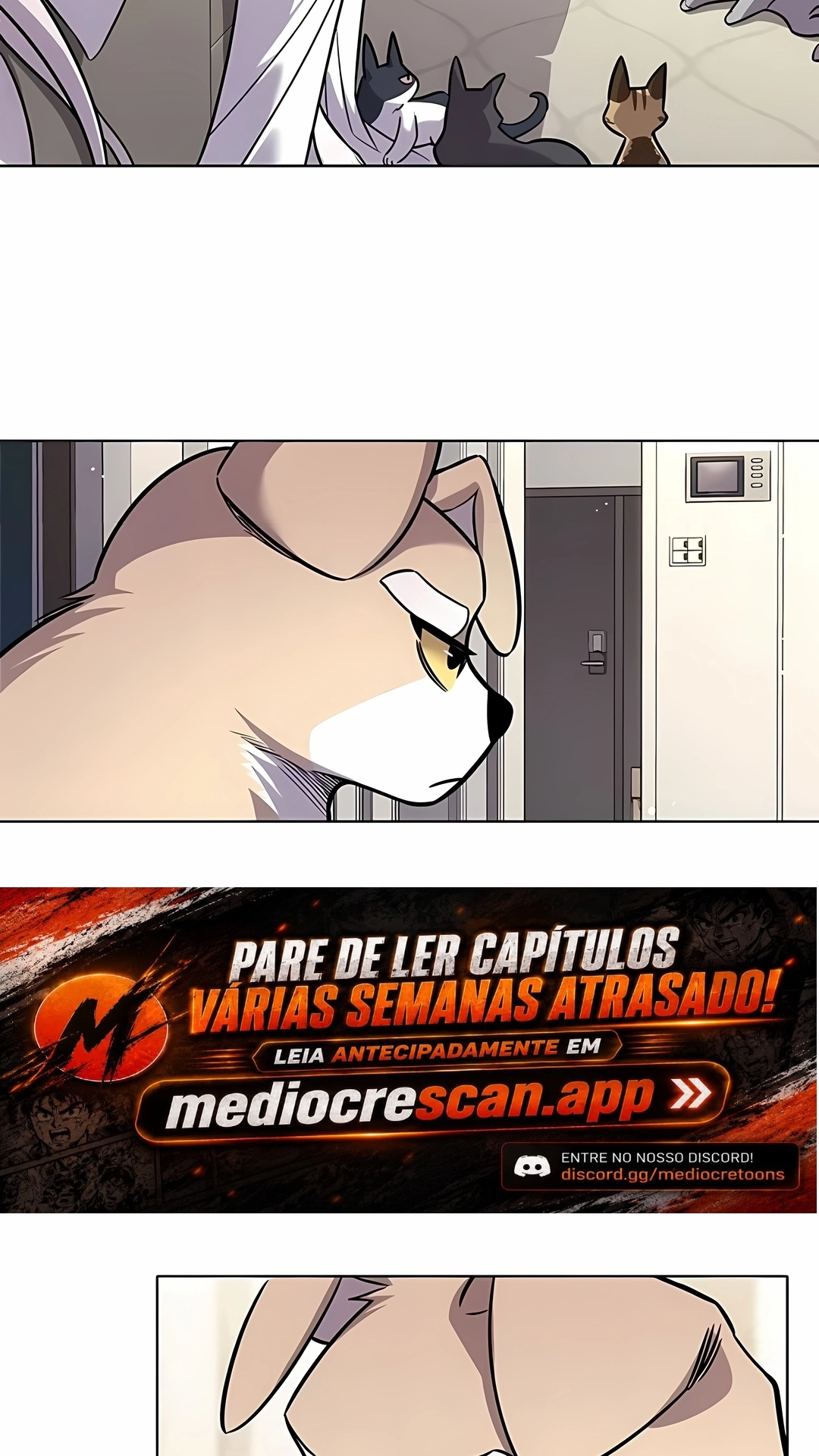 Página 41