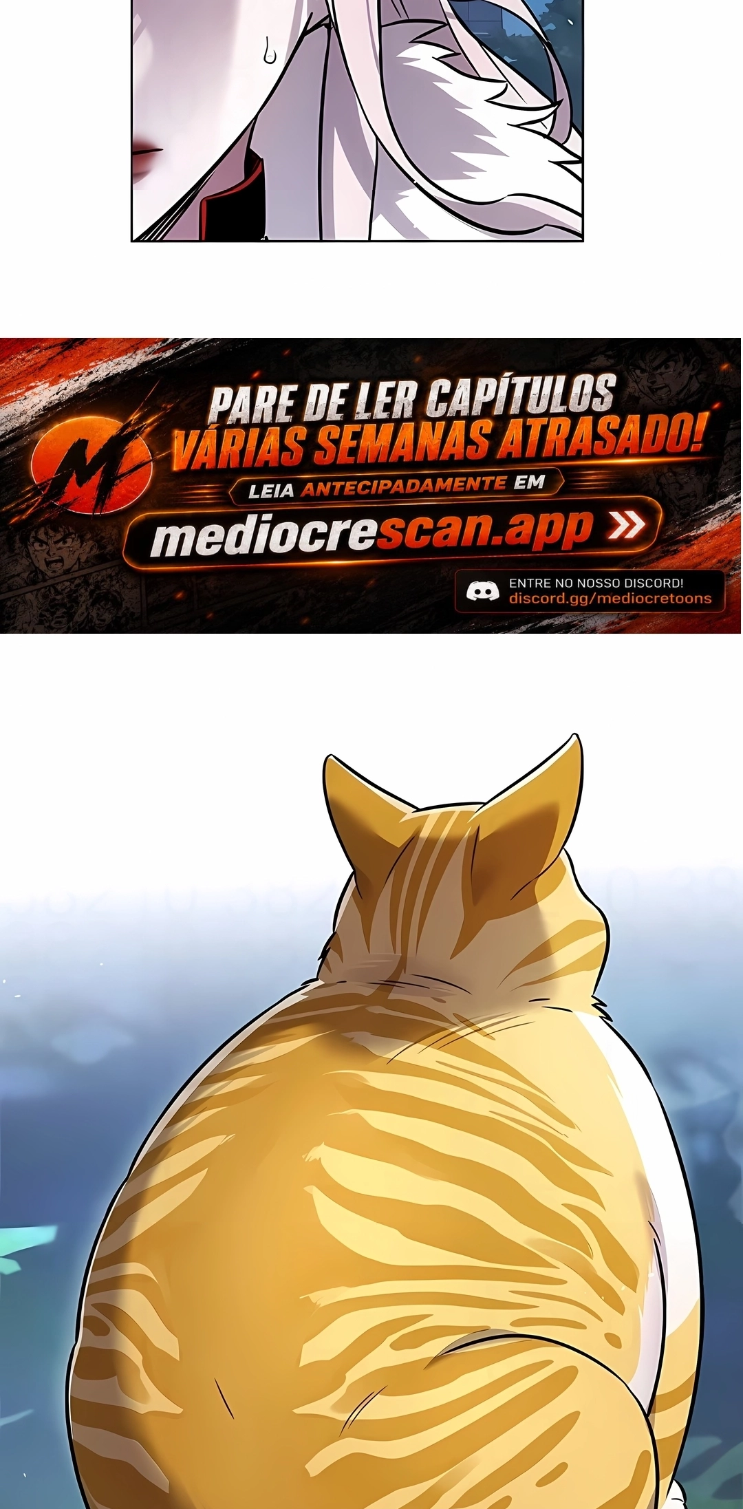 Página 49